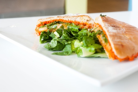 Italian ciabatta panini sandwich with cheese and tomato on a white plateの写真素材