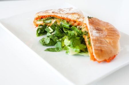 Italian ciabatta panini sandwich with cheese and tomato on a white plateの写真素材