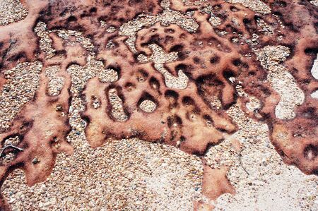 Patterns on the stone 2                    の写真素材