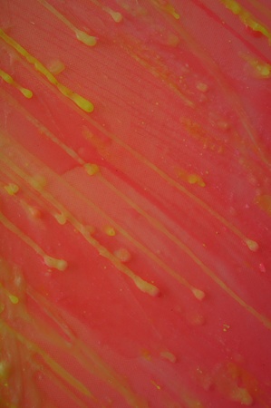 Pattern of candle wax 7                     の写真素材