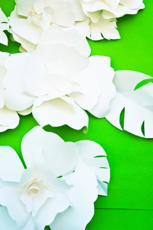 Paper Flower 3の写真素材