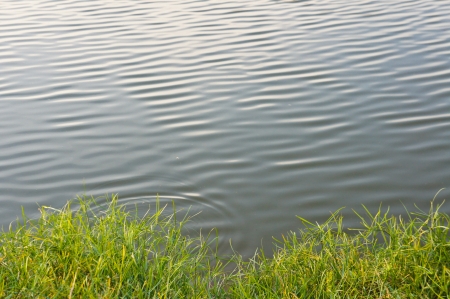 grass and waterの写真素材