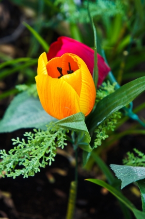 Plastic tulips 2の写真素材