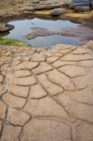 Patterned ground