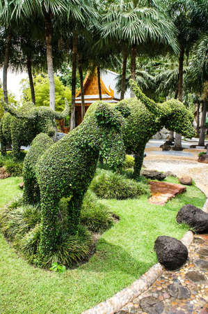 Decorating the tree, shaped like buffaloの写真素材