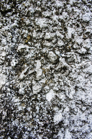 pattern of old wallの写真素材