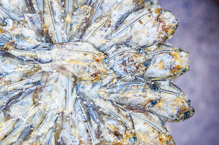 Dried fish 6