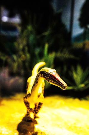 Dinosaur Statueの写真素材