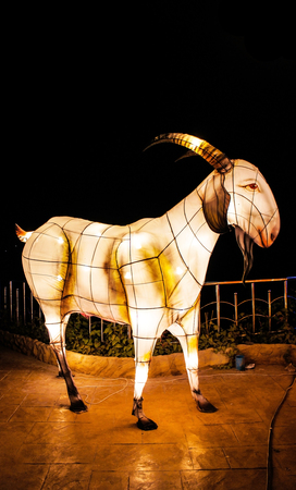 Light the nightの写真素材