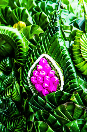 Patterns of leavesの写真素材