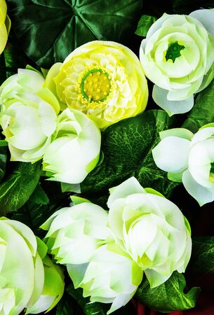 Plastic flowersの写真素材