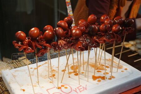 A small octopus or tako in japanese on a stick with a foam boardの素材