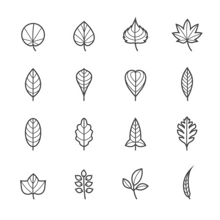 Leafs Icons for Patternのイラスト素材