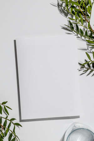 Summer wedding stationery mock-up scene with a glass of water. Blank greeting card, craft paper envelope and green branches isolated on white table background. Feminine Mediterranean top view, flat lay.の写真素材