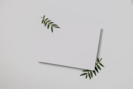 Summer wedding stationery mock-up scene. Blank greeting card, craft paper envelope and green branches isolated on white table background. Feminine Mediterranean top view, flat lay.の写真素材