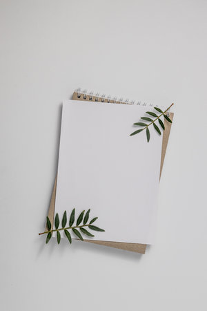 Summer wedding stationery mock-up scene. Blank greeting card, craft paper envelope and green branches isolated on white table background. Feminine Mediterranean top view, flat lay.の写真素材