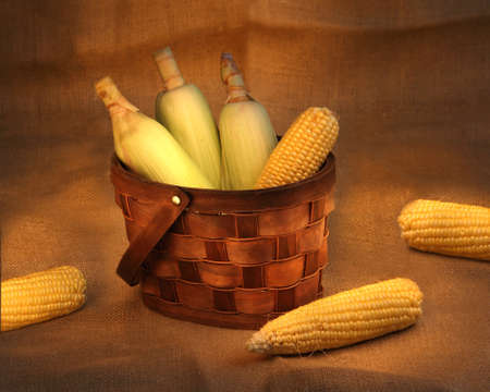still life photo with corn cobs in a  basketの写真素材