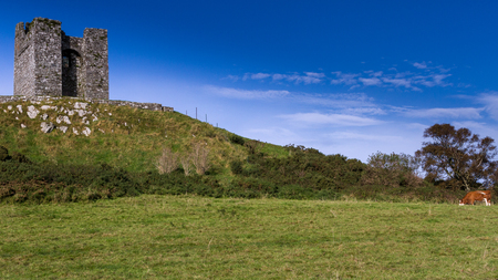 Castle and Cow, County Down, Northern Irelandの写真素材