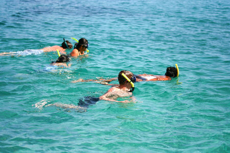 Sea diversの写真素材