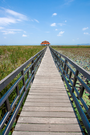 Wooden bridge over lake Sam Roi Yod National Park, Prachuap Khiri Khan, Thailandの写真素材