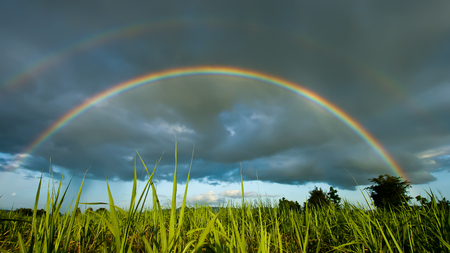 The perfect double rainbow over a beautiful meadow in springの写真素材