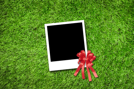 Photo frame on grass backgroundの写真素材