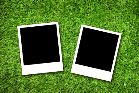 Photo frame on grass backgroundの写真素材