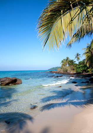 tropical beach in Thailandの写真素材