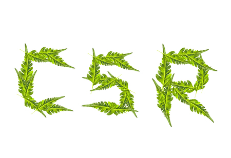green leaf isolated : corporate social responsibility wordの写真素材