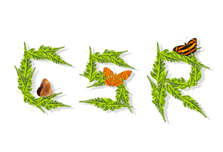 green leaf corporate social responsibility word with butterflyの写真素材