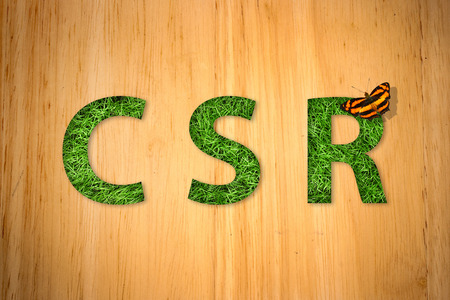 green grass corporate social responsibility word on wood backgroundの写真素材