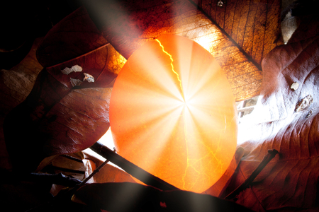Beams shoot out of the egg.の写真素材