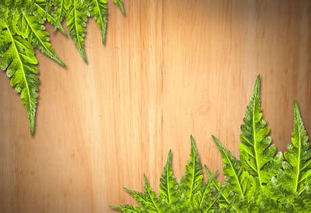 Old wooden background with green leaf frameの写真素材