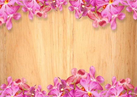 Old wooden background with pink Orchid flowers frameの写真素材