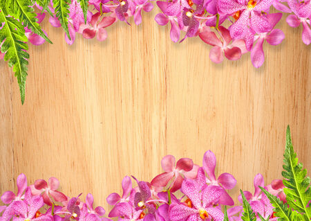 Old wooden background with pink Orchid flowers frameの写真素材