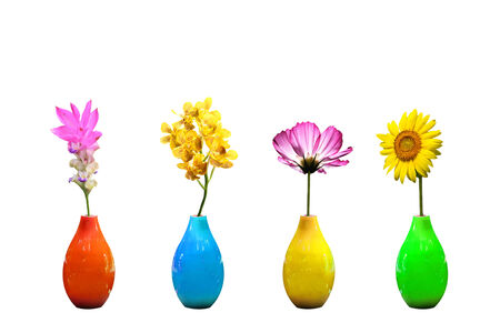 Flowers in vases isolated on whiteの写真素材
