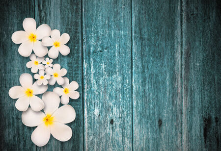 White plumeria flower on wood backgroundの写真素材