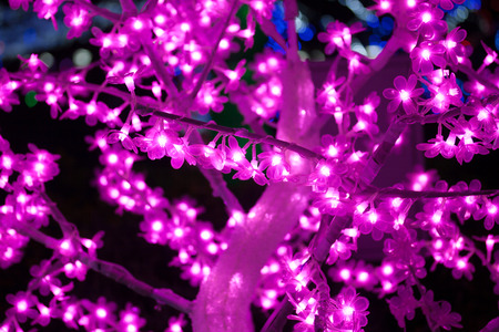 pink valentine tree light backgroundsの写真素材