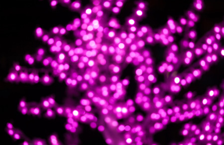 pink valentine tree light bokeh backgroundsの写真素材