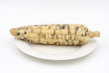 Corn Dots on the dishの写真素材