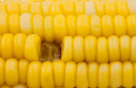 yellow corn abstract  background,  healthy organic nutrition