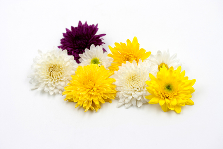 arrangement flower on white backgroundの写真素材