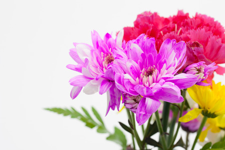 Colorful flower bouquet arrangement  on white backgroundの写真素材