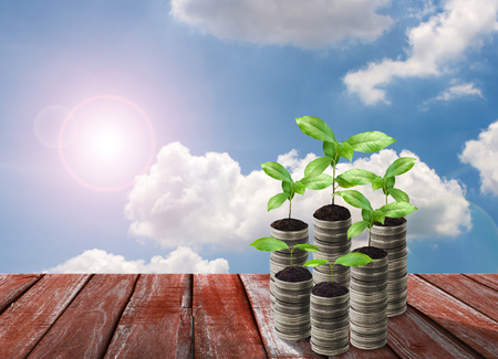 Stack of silver coin and small plant concept growthの写真素材