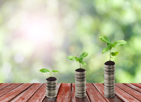 Stack of silver coin and small plant concept growthの写真素材