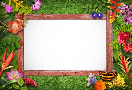 Nature border with flower and green leaf backgroundの写真素材
