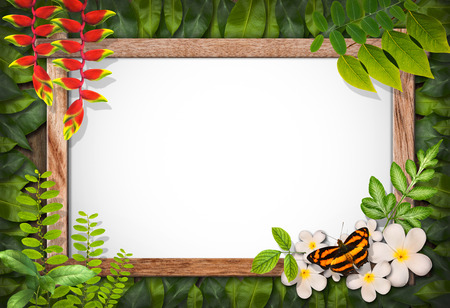 Nature border with flower and green leaf backgroundの写真素材