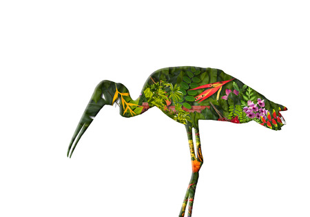 Double exposure green nature conceptの写真素材