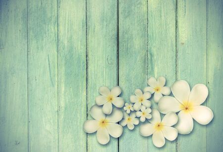 vintage effect style of White plumeria flower on wood backgroundの写真素材
