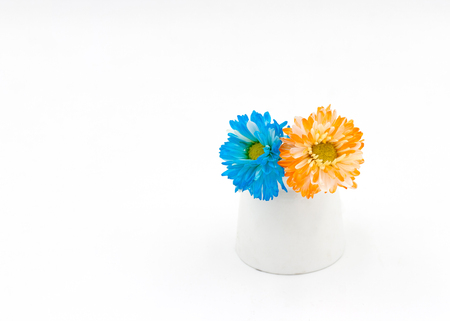Blue and oeange flowers in a white vase.の写真素材